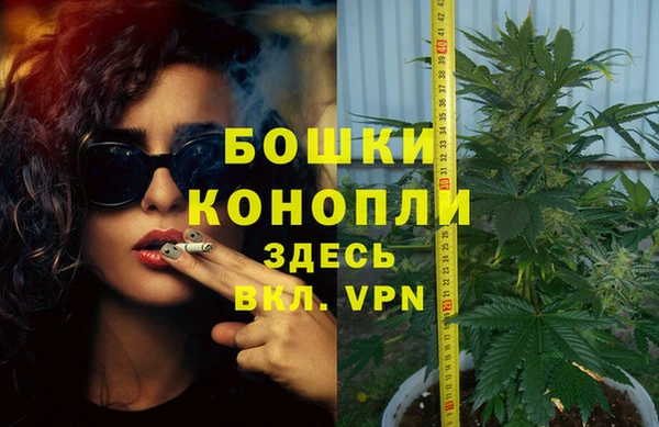 трава Богданович