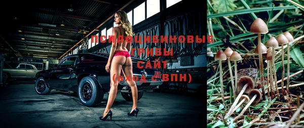 трава Богданович